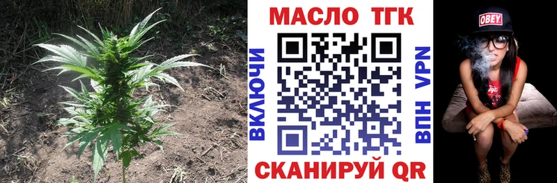 omg ссылки  наркошоп  Приморск  Дистиллят ТГК THC oil 